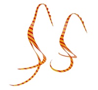 ܂ ^Co ⃉o  VRlN^C XbgJ[[ #43 IWbh[u