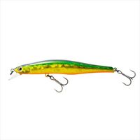 eBR gEgvO V}110F 221 HGO[S[hOB