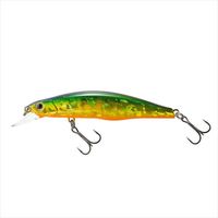 eBR gEgvO V}MR88F 221 HGO[S[hOB