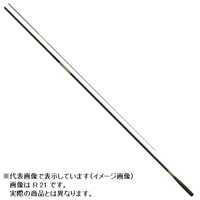 ޲  (HERA) R 24(p 6{p)yz