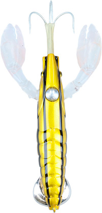 �_�C�� �d�|�� �}�_�NM �����؊C�V