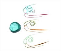 _C g xCo[t[ fCpbN 100g gO