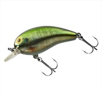 ylR|XΏەiz_C oXA[ ^Cj[s[ibcDR A^bNM