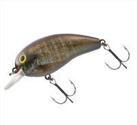 ylR|XΏەiz_C oXA[ fJs[ibc2 DR Au[M