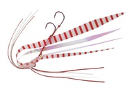 ylR|XΏەiz_C gփGjbgKP(PCsN) PC[ubhFR