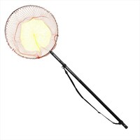 �_�C�� �v���O�����h��ʖ� 50-55�W