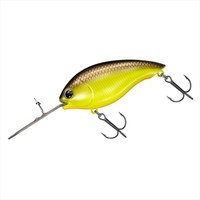 �_�C�� �o�X���A�[ T.D.�n�C�p�[�N�����N 1064Ti S.A.�`���[�g