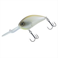 _C oXA[ XeB[YNN300 XyV