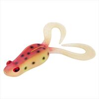 _C [ LbPJ[[BIG NAg[hyz