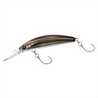 �_�C�� �g���E�g�v���O �v���b�\ �_�u���N���b�` 48F �J�Q�z�E�V�y���������z