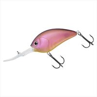 ダイワ バスルアー 22スティーズクランク 700 琵琶湖ガイドスペシャル