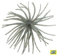 �n�C�h�A�b�v �R�C�P F(Coike-F) #116 �V�j�J�P�M��