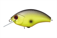 OSP oXA[ gubc `[gubNobN P20yz