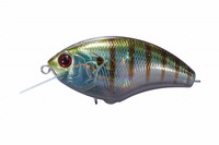 OSP oXA[ gubc-MAX BH45 cXM