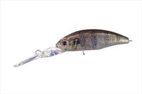 OSP@I[GXs[ oXA[ _N48F AMVer.2 RP16yz