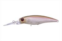 OSP oXA[ nCJbg DR-SP S76 郏JTM