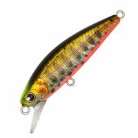 ylR|XΏەizW lhytjhi~YLj TO T.U OORs}