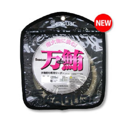 ylR|XΏەizHwH(Nn@) V[K[30m 65Lb 22