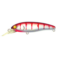 �n���V�I�� �����V�V ���� �g-�q�s�h�f