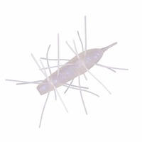 �W�[�N���b�N ���[�� �C���P���V 60�o (�t���[�e�B���O) #392 �W���G���L���^�s���[�y���������z