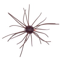 W[NbN [ CPV{ 1.2C` #013 XJbpm