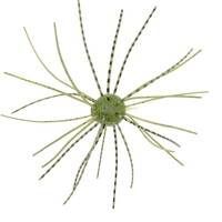 W[NbN [ CPV{ 1.2C` #286 EB[hSP