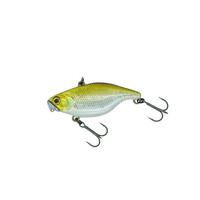 �f�B�X�^�C�� �o�X���A�[ TN50 TypeD SS ���e�I�t���b�V���y���������z