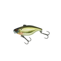 �f�B�X�^�C�� �o�X���A�[ TN50 TypeD SS ���A�N�V�����V�����p���S�[���h�y���������z