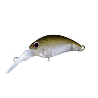 OSP �g���E�g�v���O ���� DR-SSTR005�������̒��y���������z