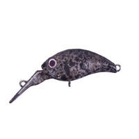 OSP �g���E�g�v���O ���� DR-SSTR007�l�̐H���͒��F