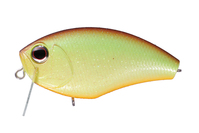 OSP@oWNNwr[qb^[@PL07@KDOD_Y[`[g