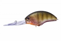 OSP oXA[ ubc EX DR L16 _Y[xCr[M