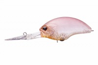 OSP oXA[ ubc EX DR H43 sNfB-