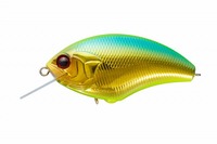 OSP oXA[ gubc-MAX MG35 W`[gS-h