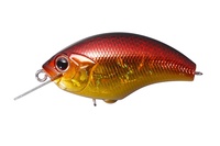 (L XWi)  OSP BLITZ (ubc)SH48 S[ht@C[yz