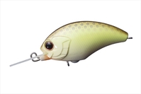 OSP TINY BLITZ-MR(^Cj[ubc) nj[x_[ P89