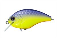 OSP TINY BLITZ (^Cj[ ubc) PP81 `[gp[vobN