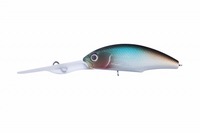 OSP(I[GXs[) p[_NSP C47 _[NVbh