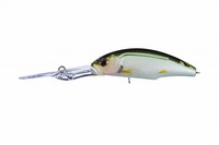 OSP(I[GXs[) p[_NSP GHF83 S[XgHFP^oX