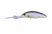 OSP(I[GXs[) p[_NSP GHF 92S[XgHFJTMyz