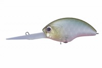 nro@akhsy@dw@cqiubcj@}bgJTM@lXP