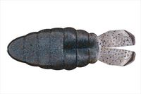 ylR|XΏەizOSP DoLive SSM2C` W27_[NViu[&ybp[yz