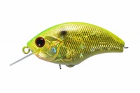 OSP@Rattlin'BLITZ(gubc) H90CgS[h`[g