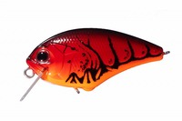 OSP oXA[ ubc SSR Z08 AU