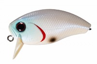 OSP oXA[ oWNNwr[qb^[ F49CpNgzCg