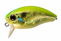 OSP oXA[ oWNNwr[qb^[ H90CgS[h`[g