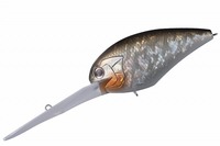 OSP oXA[ ubc}Oi EX-DR M47}bgVbhyz