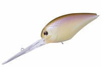 OSP oXA[ ubc}Oi EX-DR P91`[gJTMyz