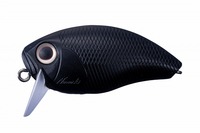 OSP oXA[ oWNN MT05}bgubN