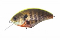 OSP oXA[ ubc MAX RP07}bg`[gobNAM